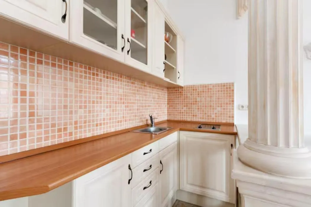 Classical Studio Apartment Budapest Hungary